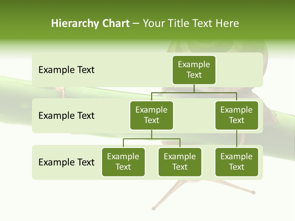 Snail Slowness Shell PowerPoint Template