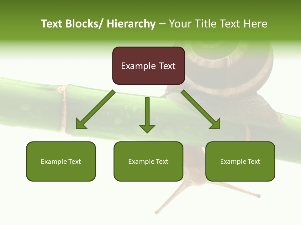 Snail Slowness Shell PowerPoint Template