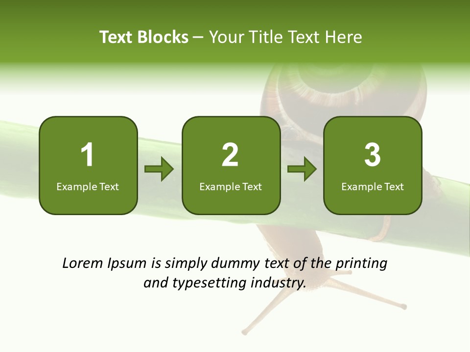 Snail Slowness Shell PowerPoint Template