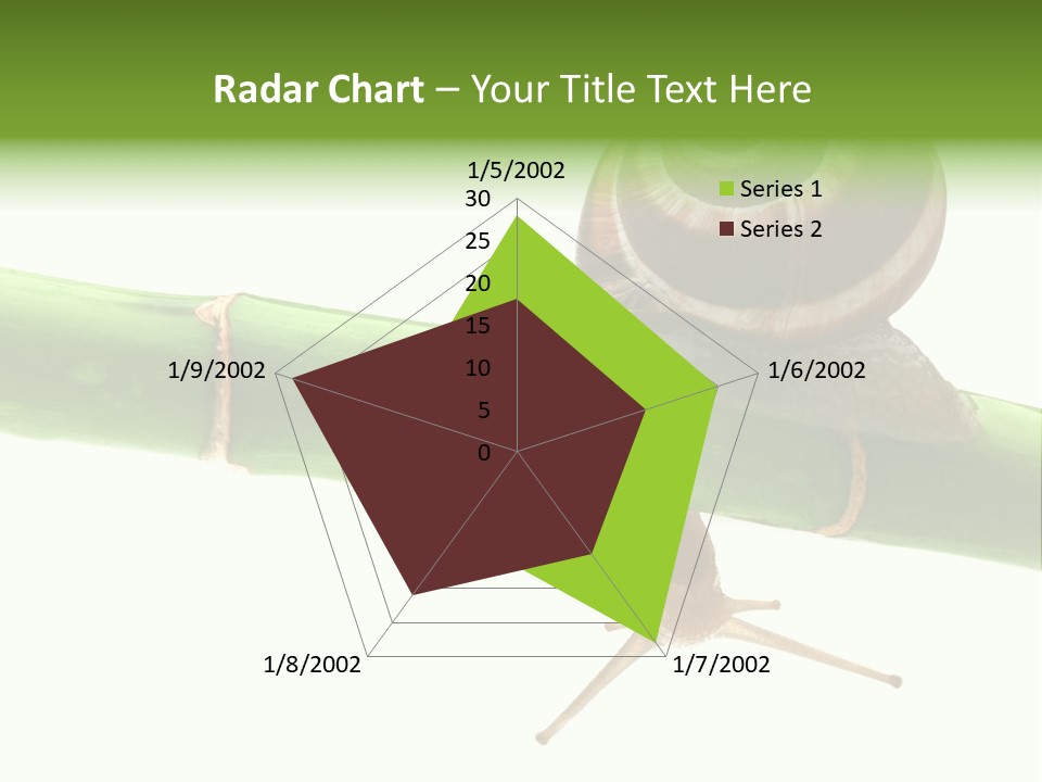 Snail Slowness Shell PowerPoint Template
