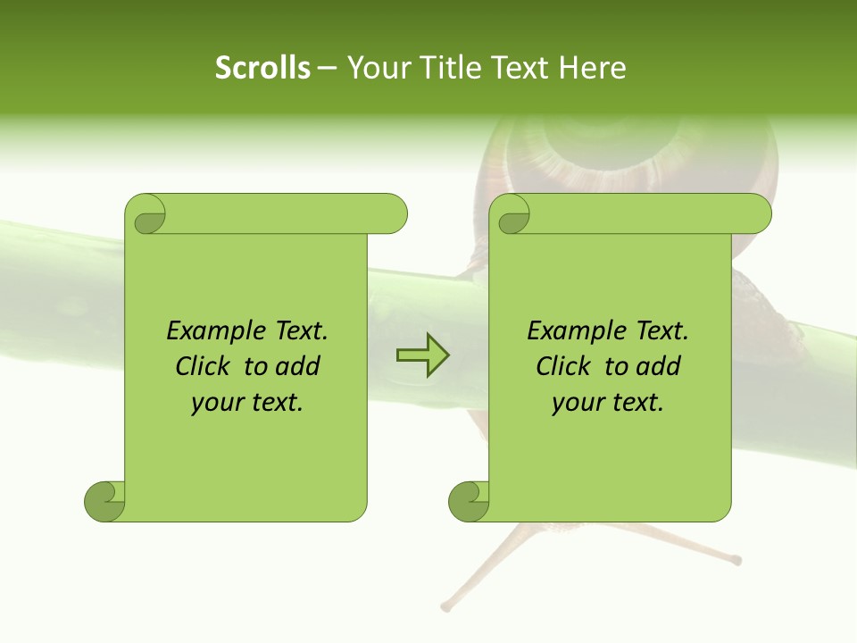 Snail Slowness Shell PowerPoint Template