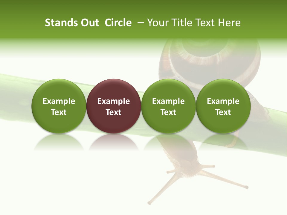 Snail Slowness Shell PowerPoint Template