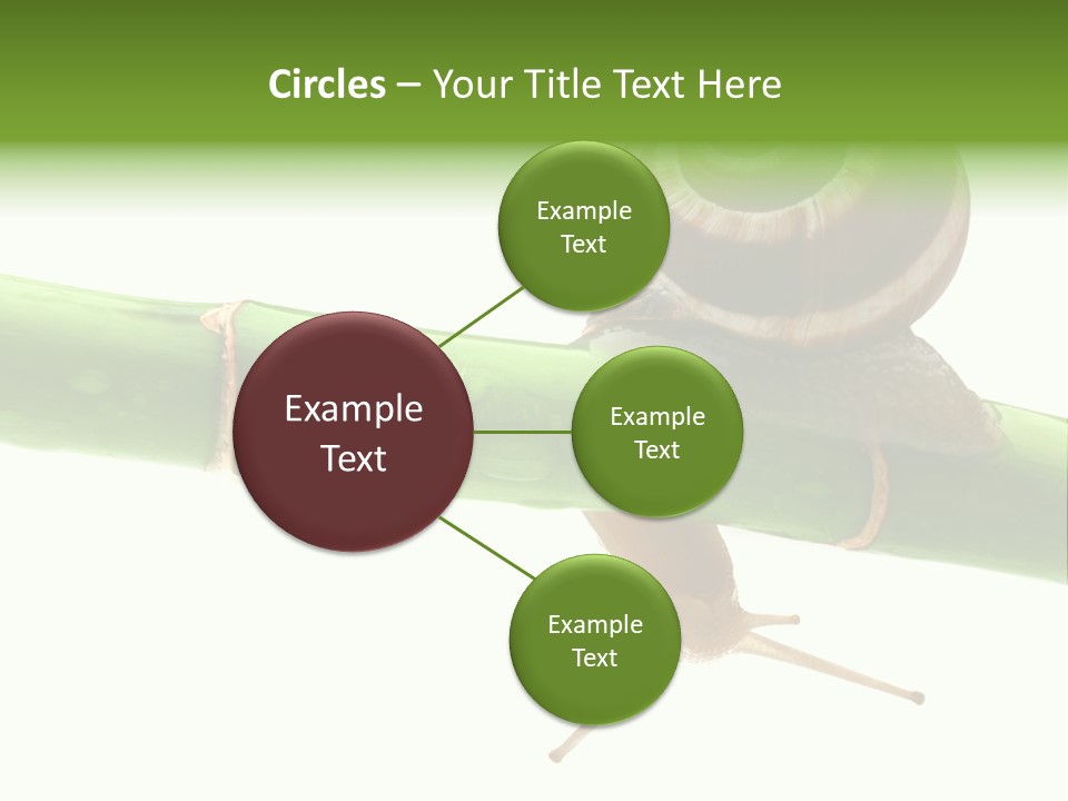 Snail Slowness Shell PowerPoint Template