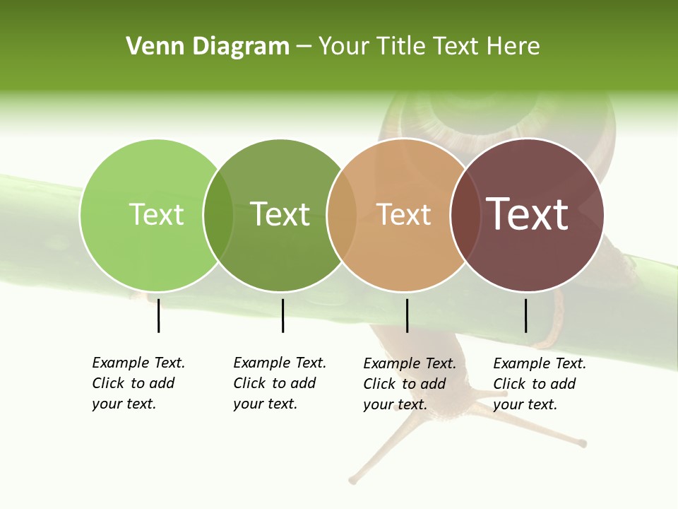 Snail Slowness Shell PowerPoint Template