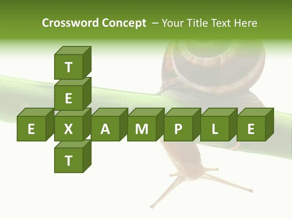 Snail Slowness Shell PowerPoint Template