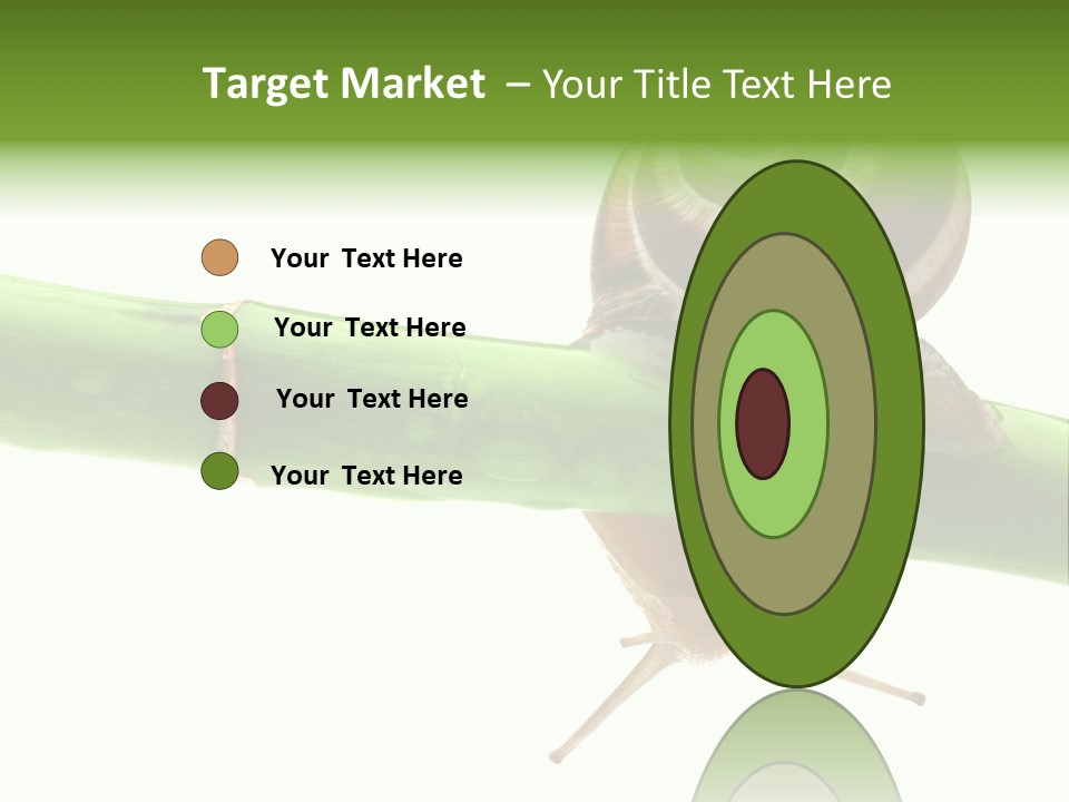 Snail Slowness Shell PowerPoint Template