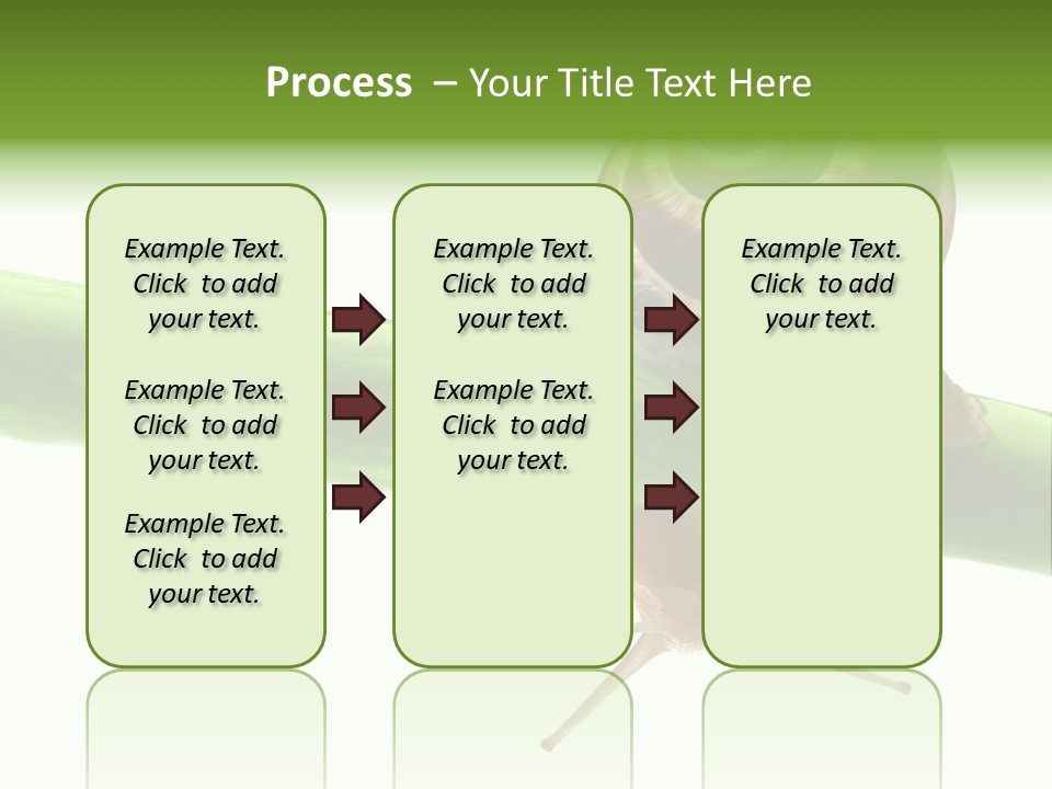 Snail Slowness Shell PowerPoint Template
