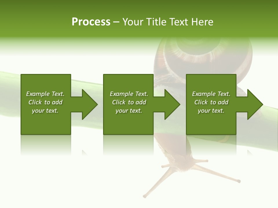 Snail Slowness Shell PowerPoint Template