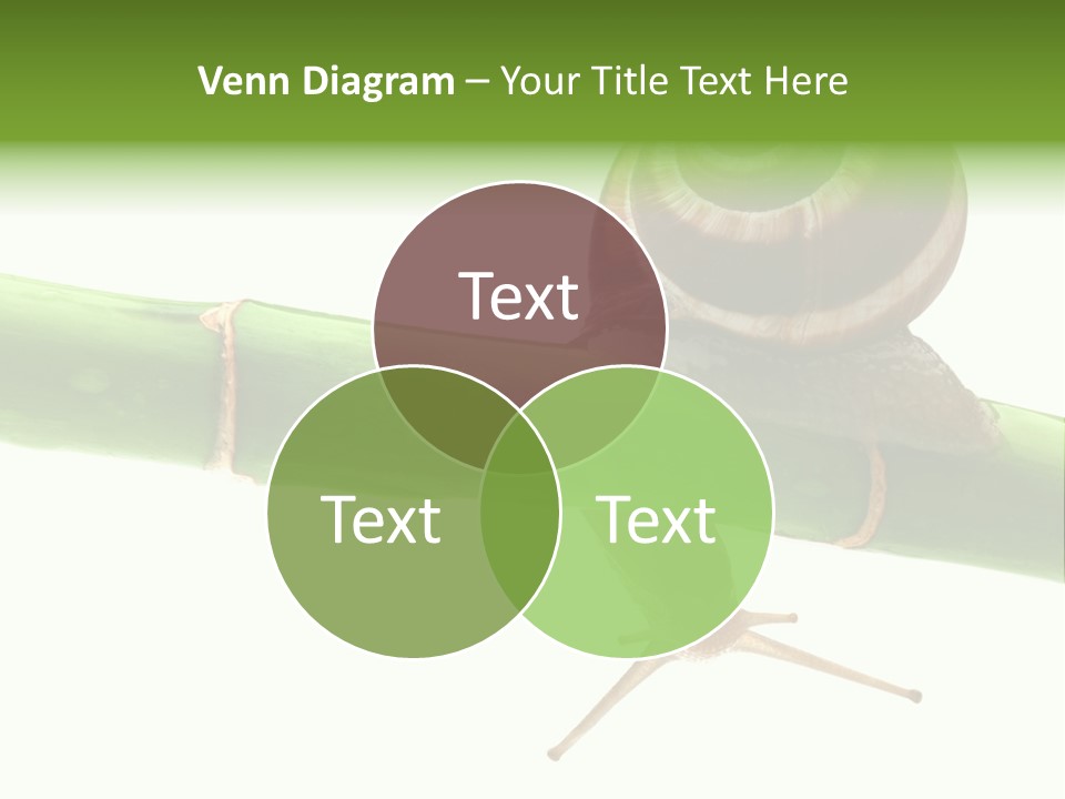 Snail Slowness Shell PowerPoint Template