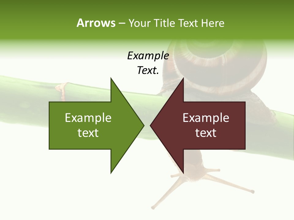 Snail Slowness Shell PowerPoint Template