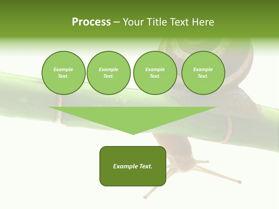 Snail Slowness Shell PowerPoint Template