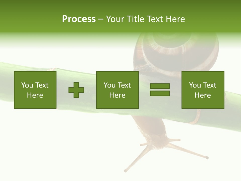 Snail Slowness Shell PowerPoint Template