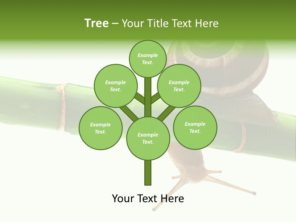 Snail Slowness Shell PowerPoint Template