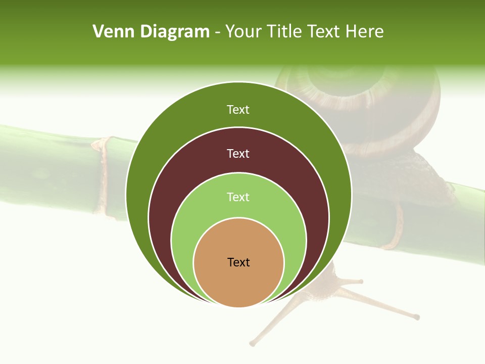 Snail Slowness Shell PowerPoint Template