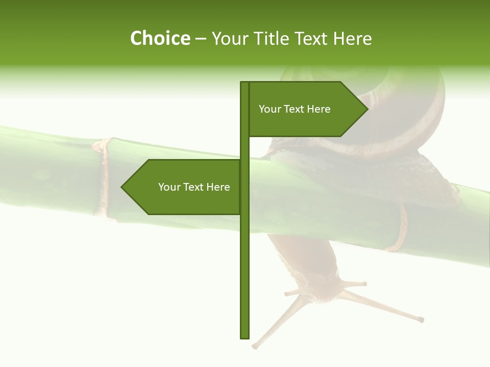 Snail Slowness Shell PowerPoint Template