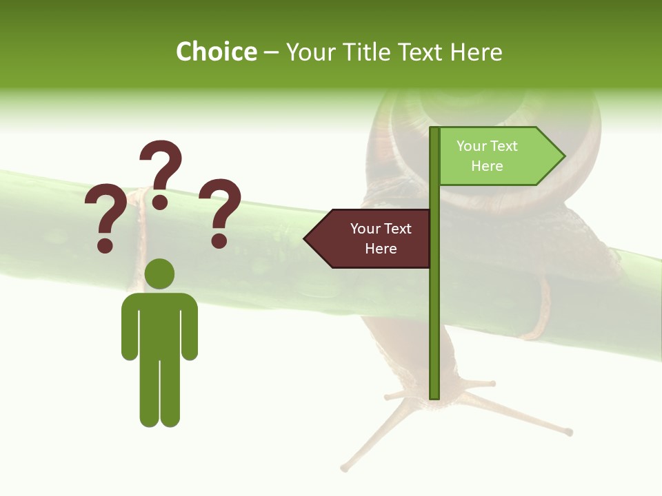 Snail Slowness Shell PowerPoint Template