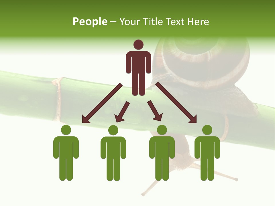 Snail Slowness Shell PowerPoint Template