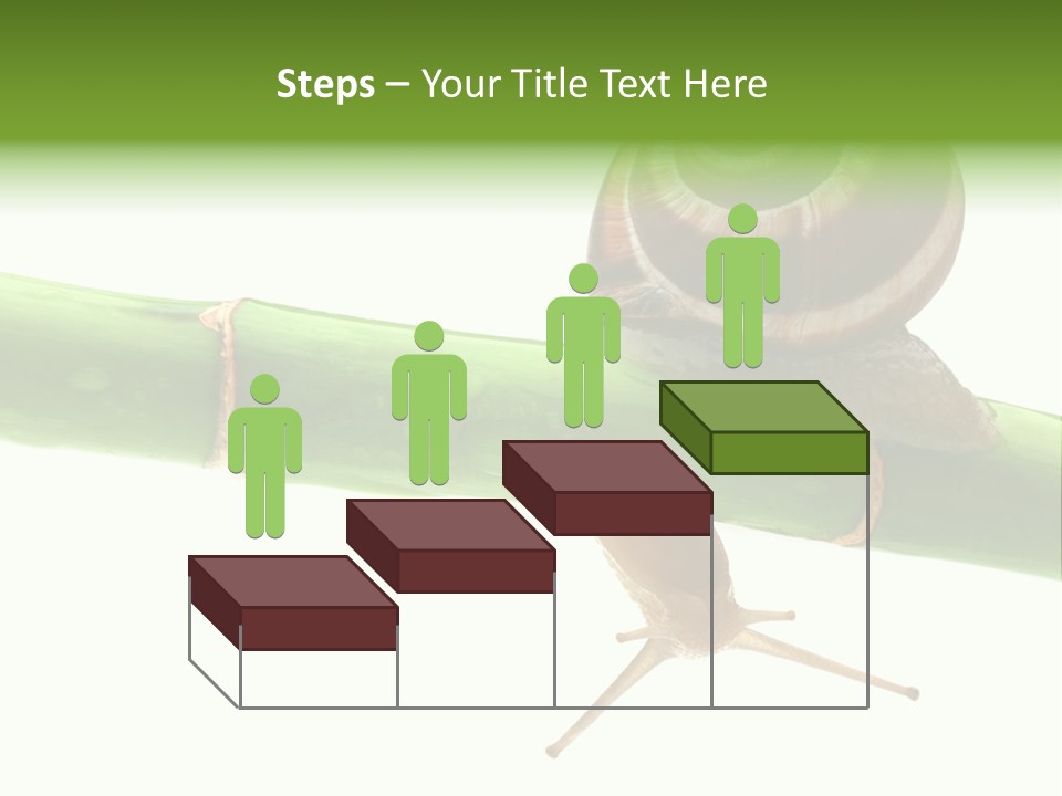 Snail Slowness Shell PowerPoint Template