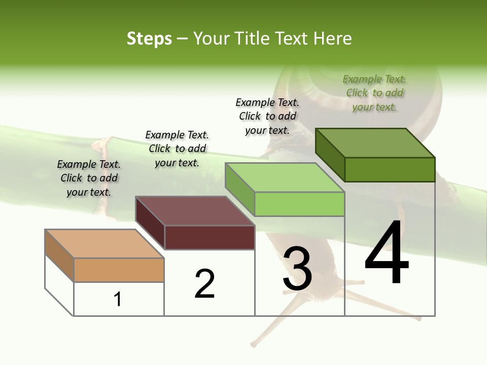Snail Slowness Shell PowerPoint Template