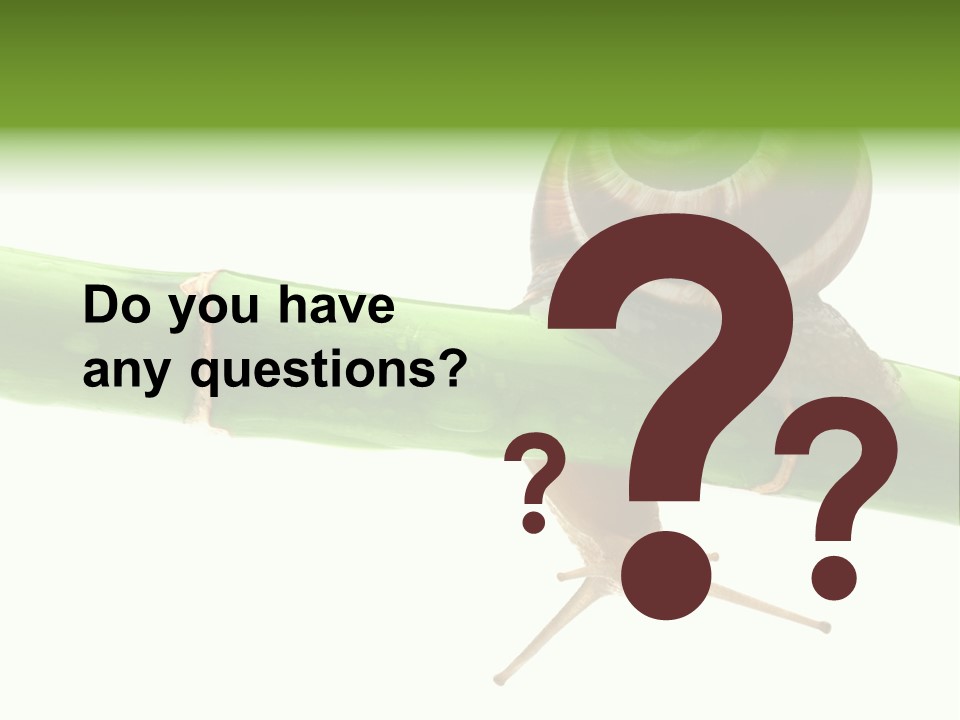 Snail Slowness Shell PowerPoint Template