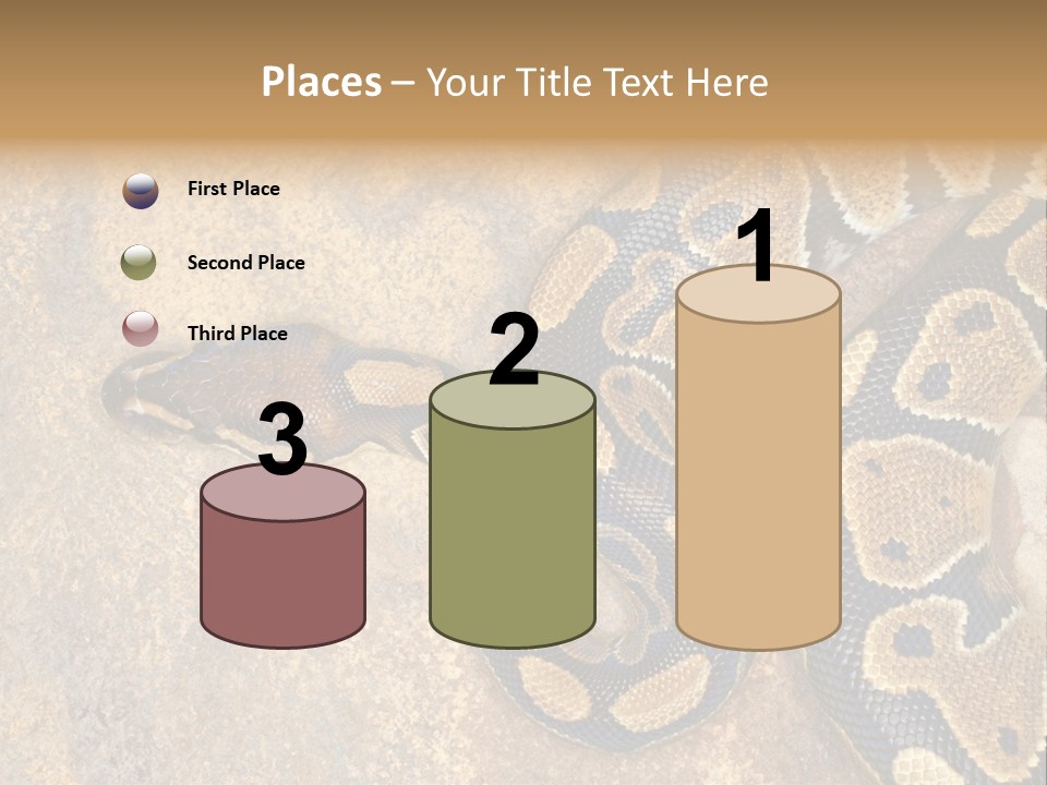 Black Nature Beige PowerPoint Template