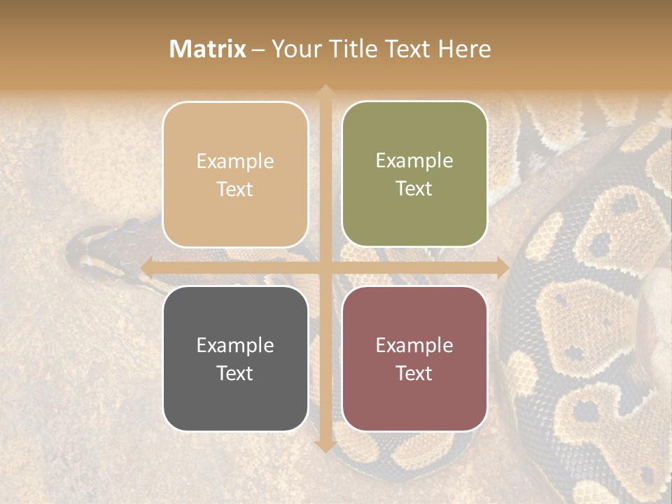 Black Nature Beige PowerPoint Template