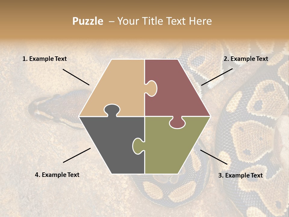 Black Nature Beige PowerPoint Template