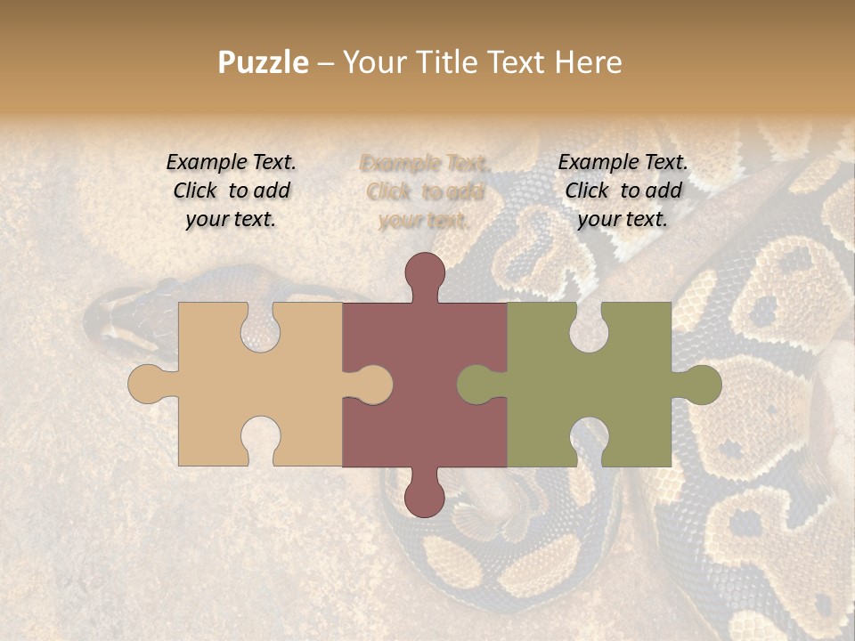 Black Nature Beige PowerPoint Template