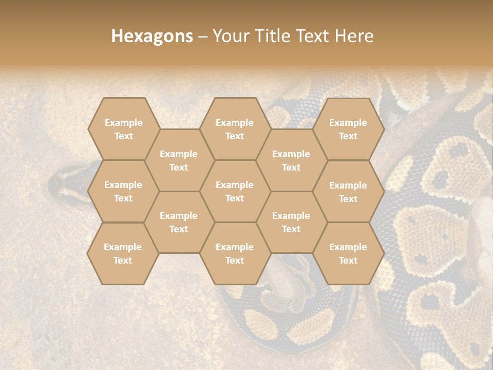 Black Nature Beige PowerPoint Template