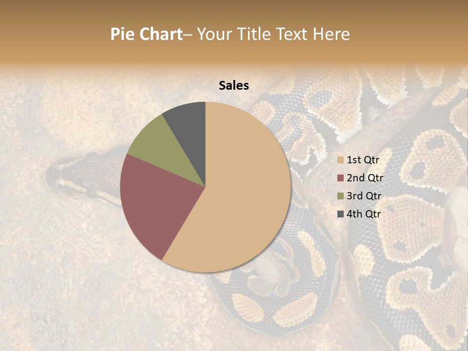 Black Nature Beige PowerPoint Template