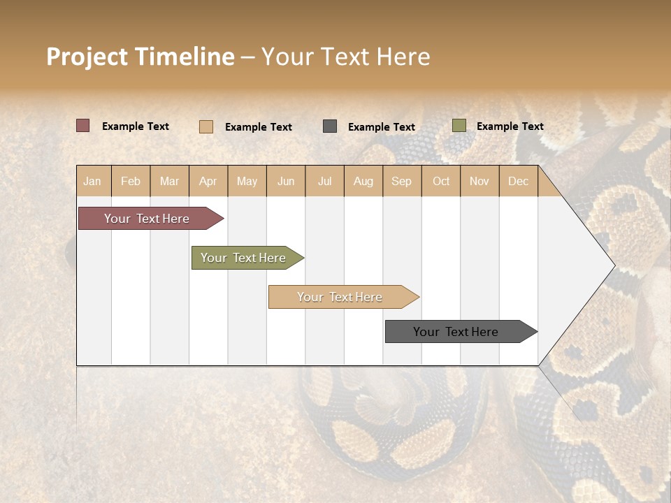 Black Nature Beige PowerPoint Template