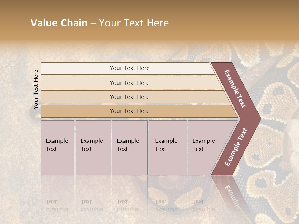 Black Nature Beige PowerPoint Template