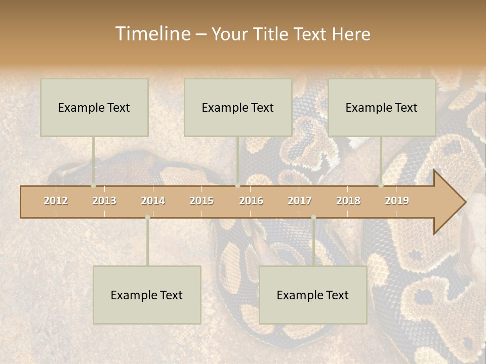 Black Nature Beige PowerPoint Template