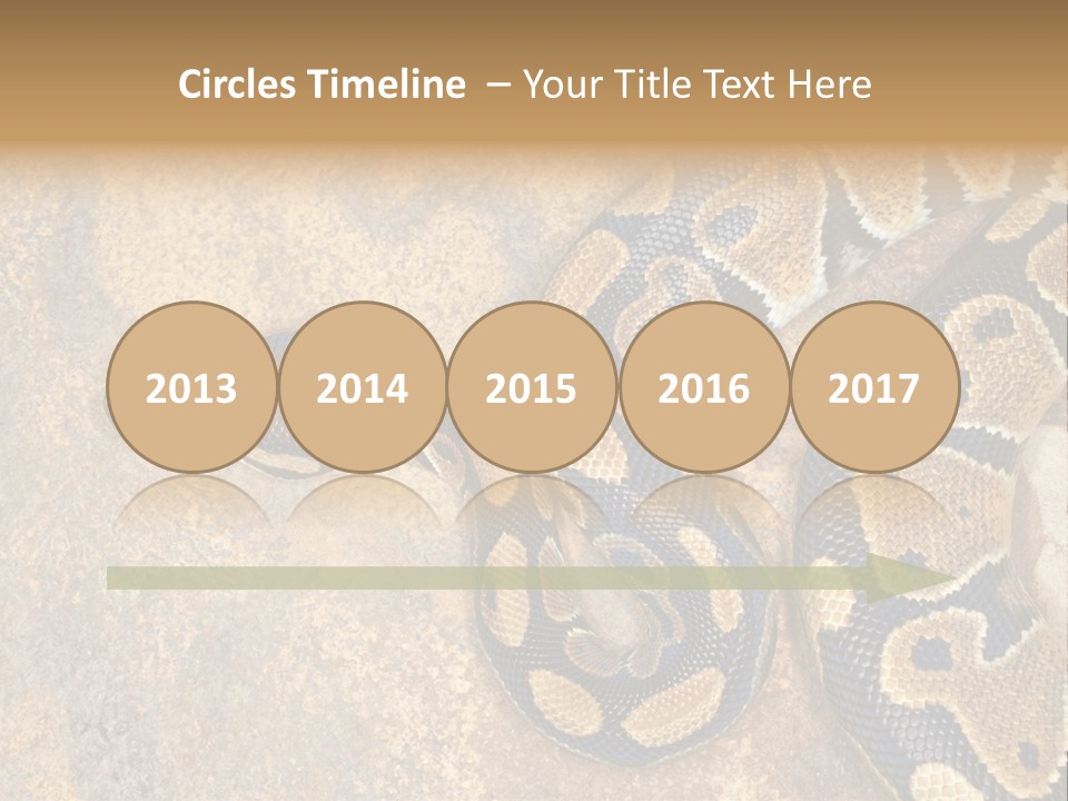 Black Nature Beige PowerPoint Template