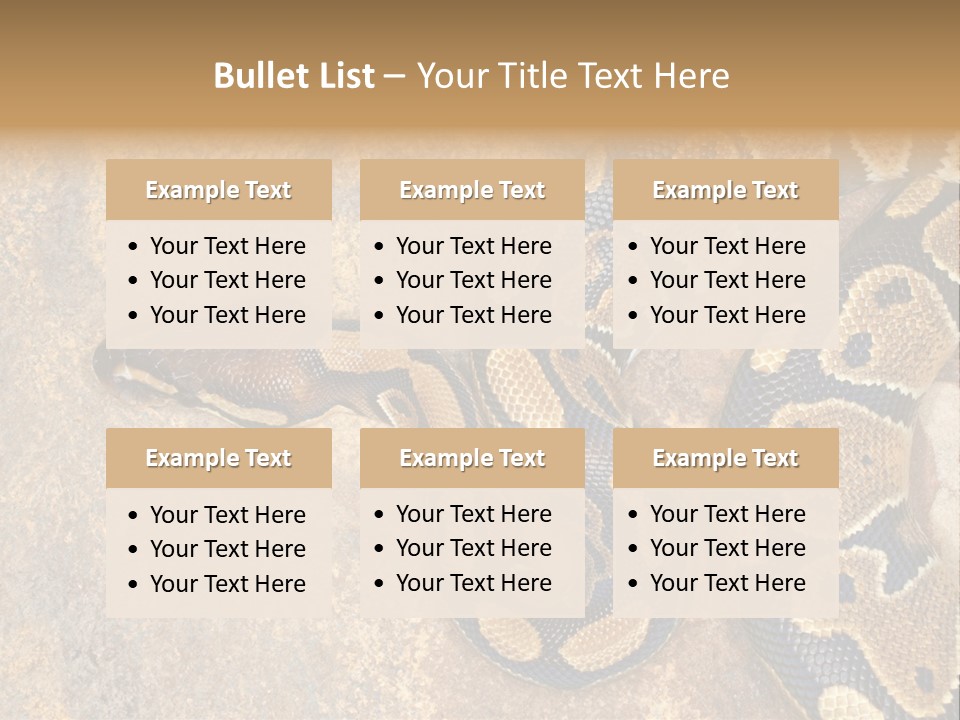 Black Nature Beige PowerPoint Template