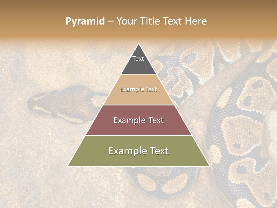 Black Nature Beige PowerPoint Template