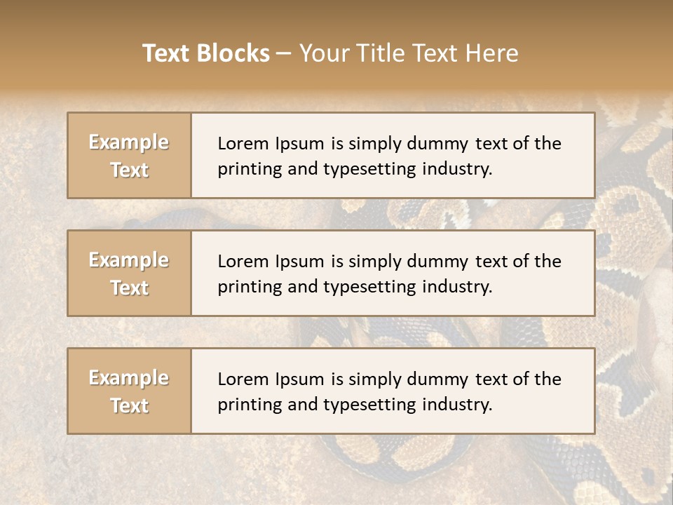 Black Nature Beige PowerPoint Template