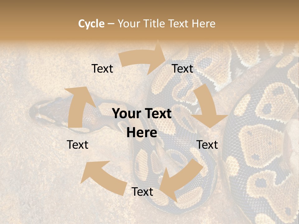 Black Nature Beige PowerPoint Template