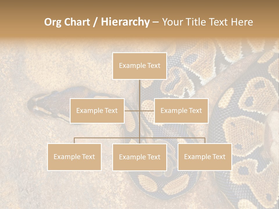 Black Nature Beige PowerPoint Template