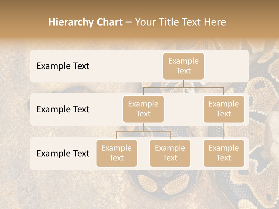 Black Nature Beige PowerPoint Template