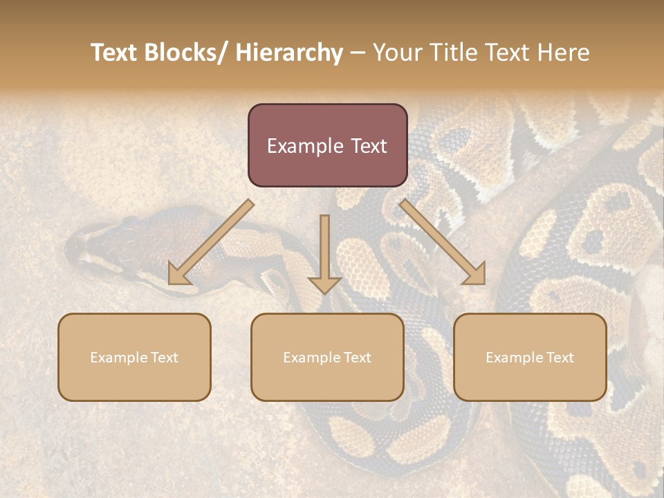 Black Nature Beige PowerPoint Template