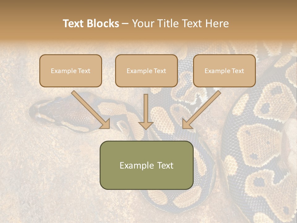 Black Nature Beige PowerPoint Template