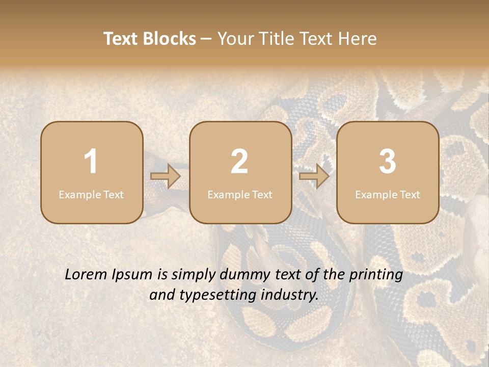 Black Nature Beige PowerPoint Template