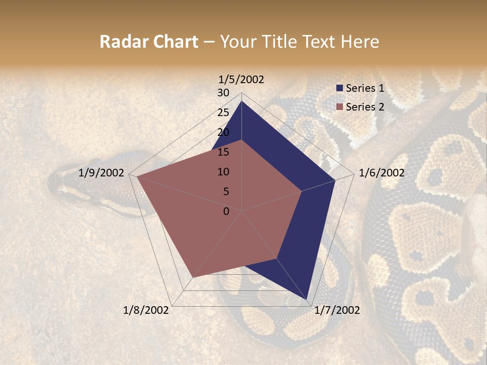 Black Nature Beige PowerPoint Template