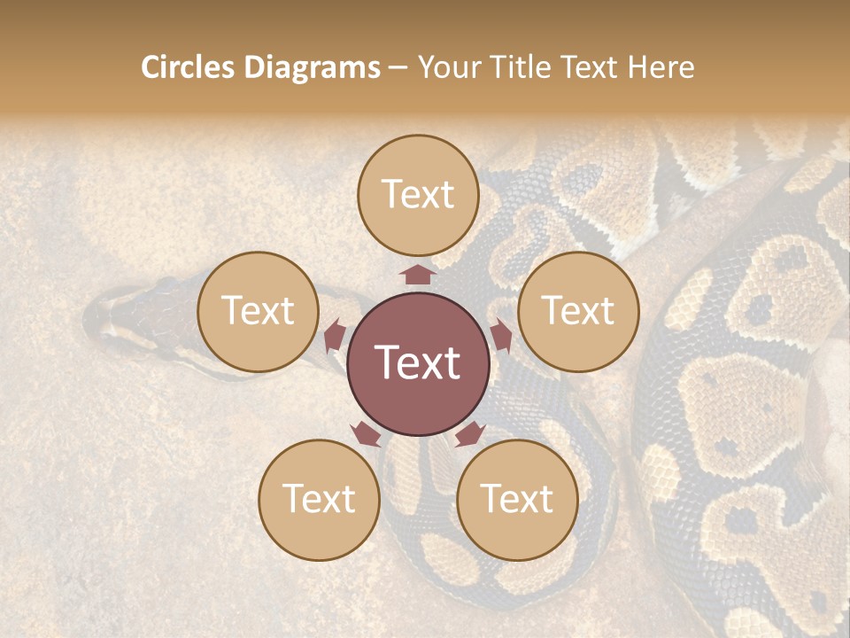 Black Nature Beige PowerPoint Template