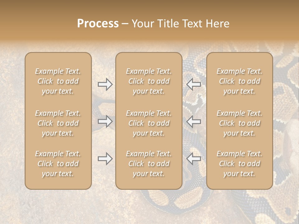 Black Nature Beige PowerPoint Template