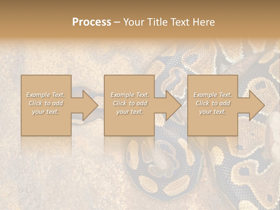 Black Nature Beige PowerPoint Template