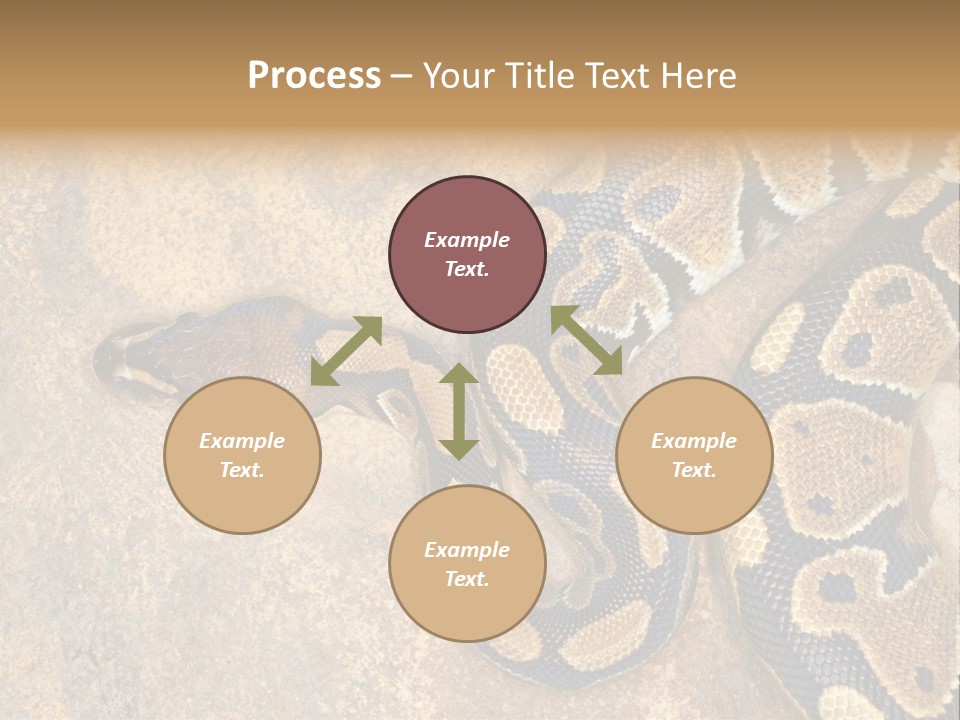 Black Nature Beige PowerPoint Template