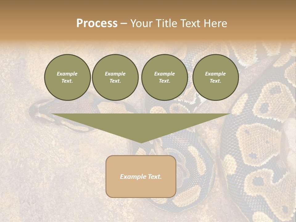 Black Nature Beige PowerPoint Template