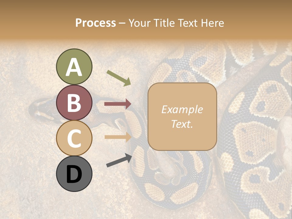 Black Nature Beige PowerPoint Template